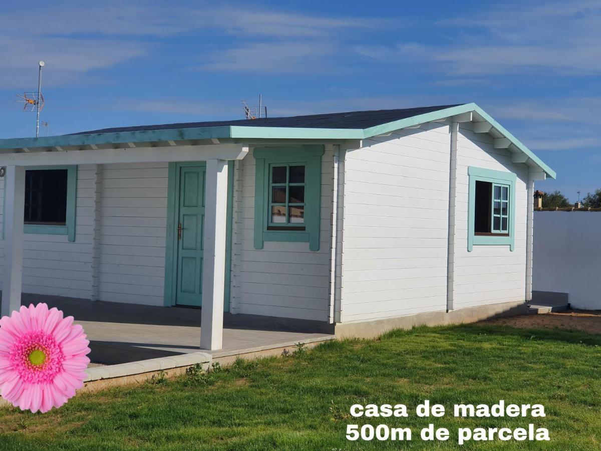 Mint House Apartment Chiclana de la Frontera Exterior photo